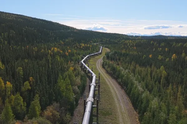 Aerial view of the Trans-Alaska Pipeline System cutting through a dense forest.